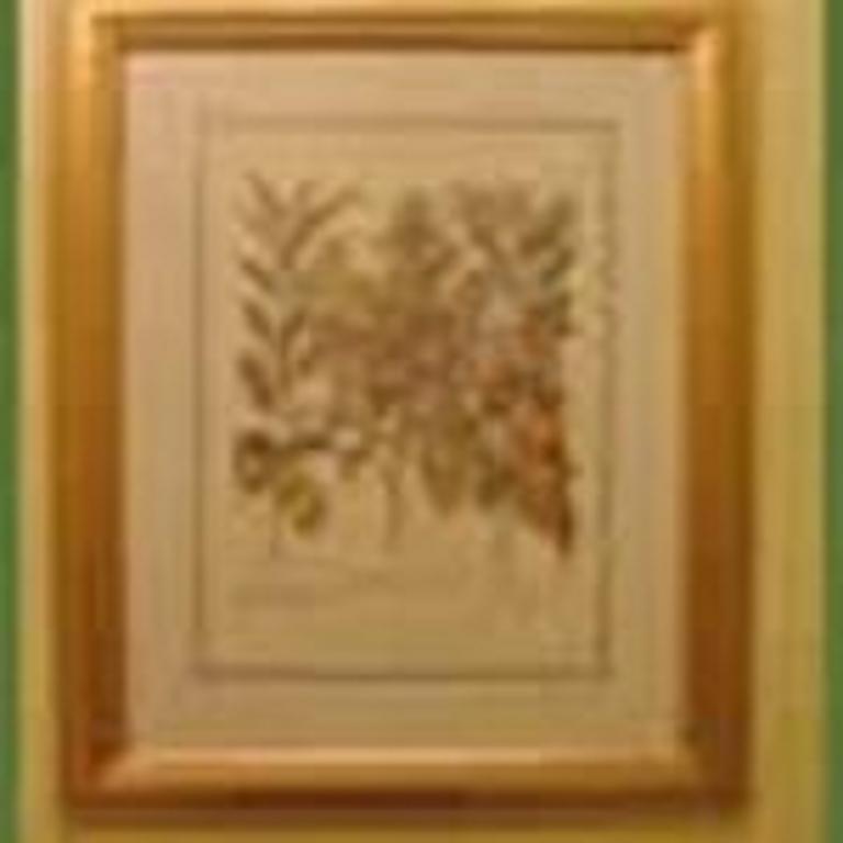 Cobb Lane Bed And Breakfast Бирмингем Экстерьер фото